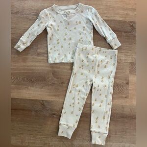 Fin and vince bee set